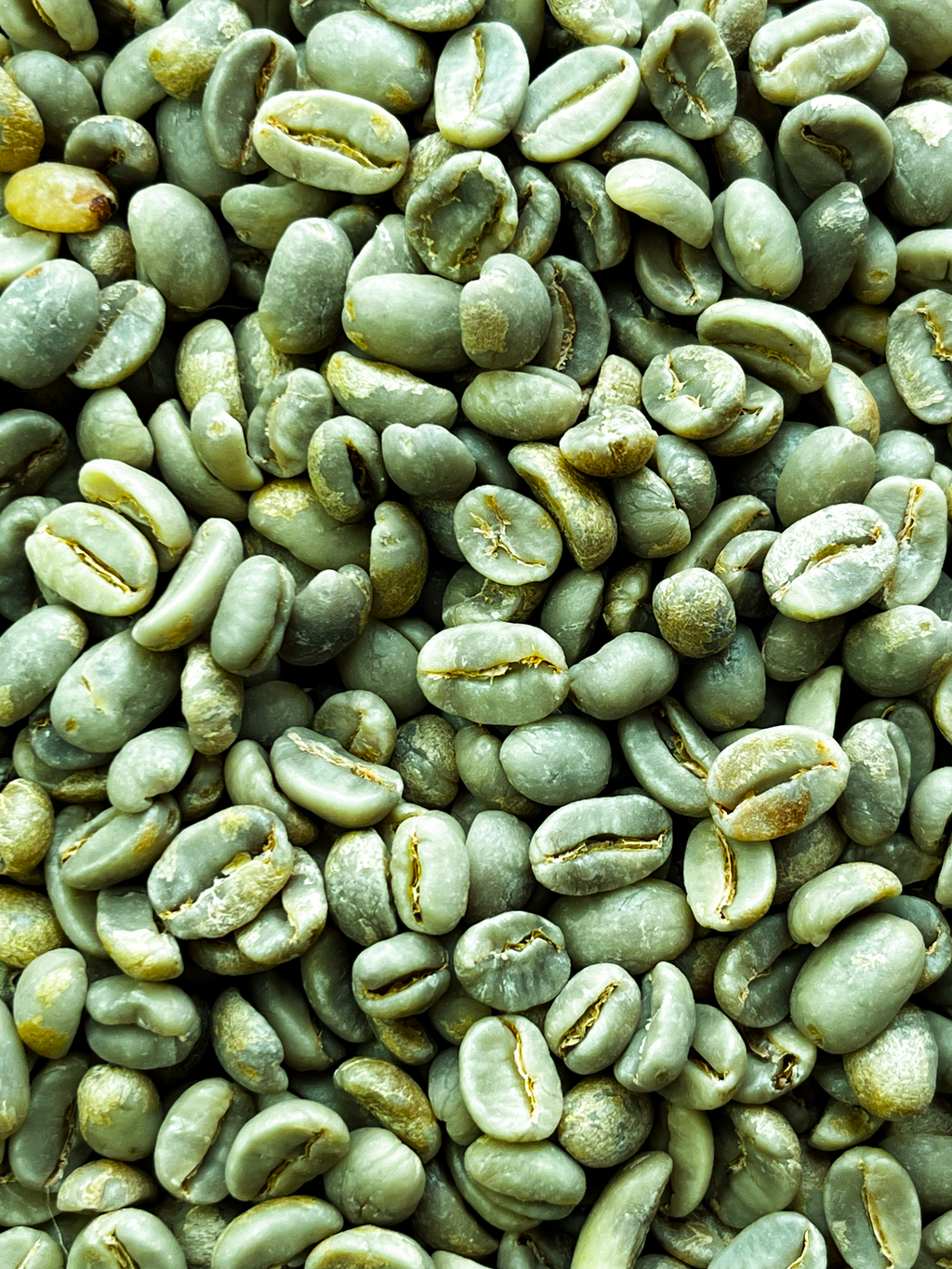 Café vert 1kg