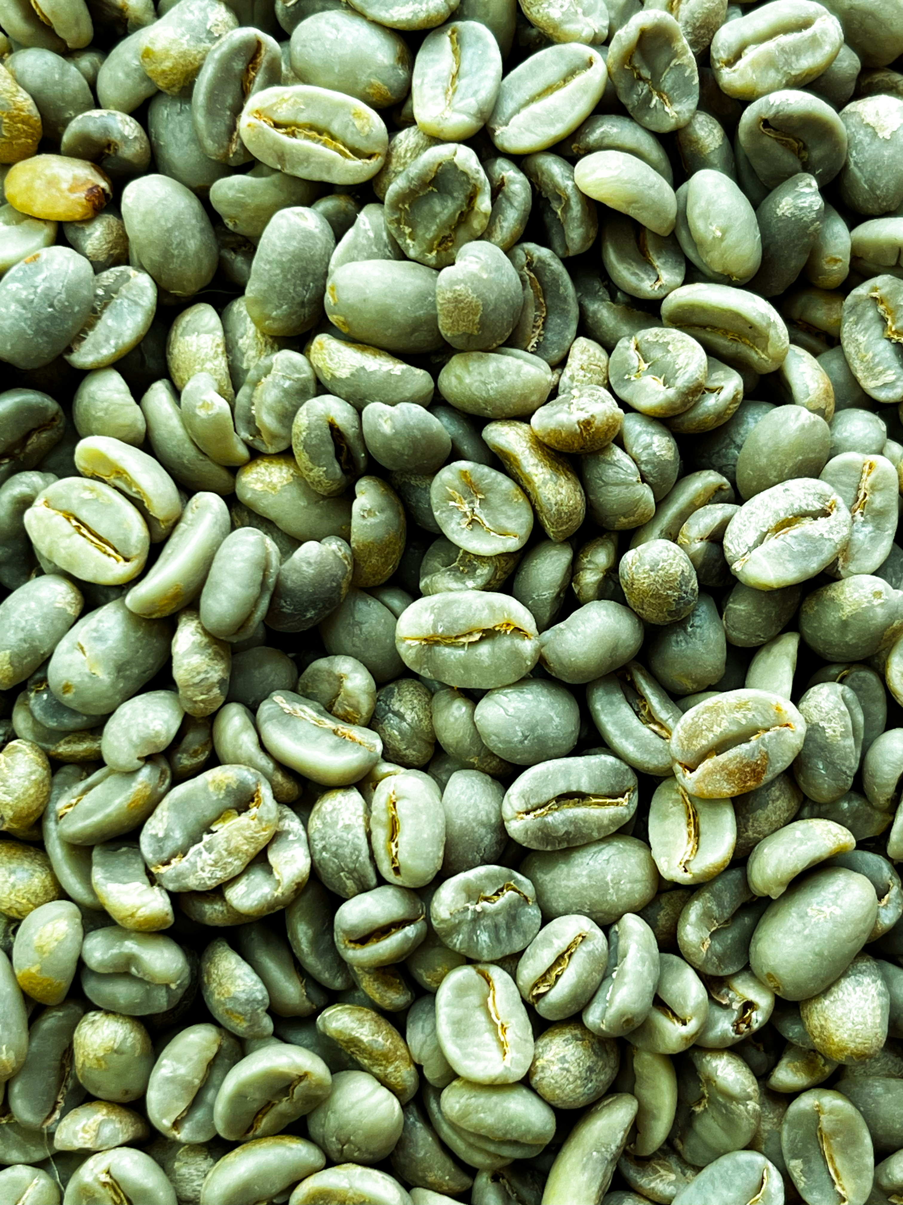 Café vert 1kg
