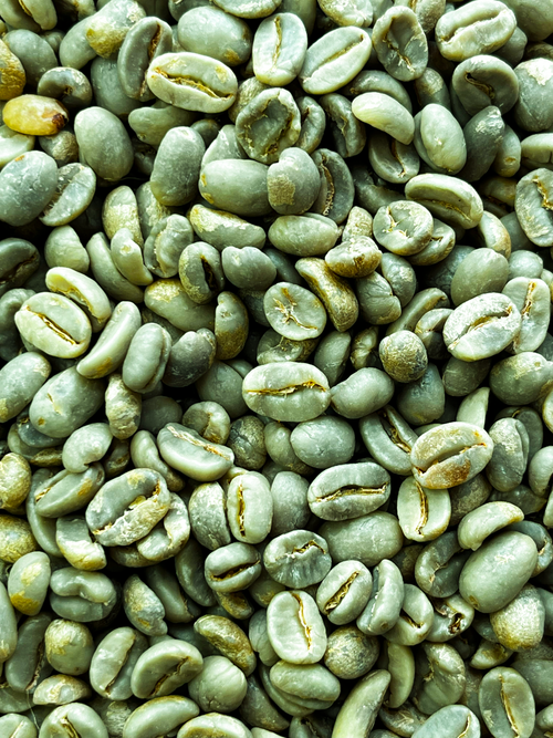 Café vert 1kg